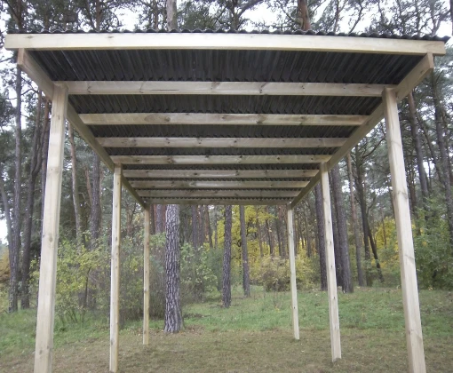 Woodlands Carport Budget 300 x 500 cm - Afbeelding 2