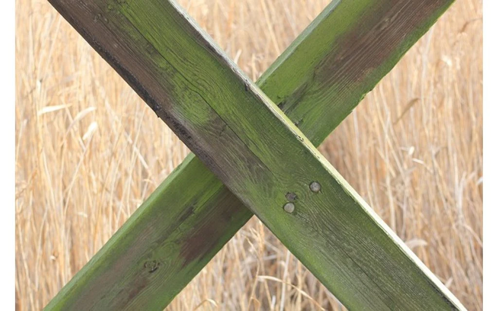 Remmers Algenverwijderaar 5 L - Afbeelding 2