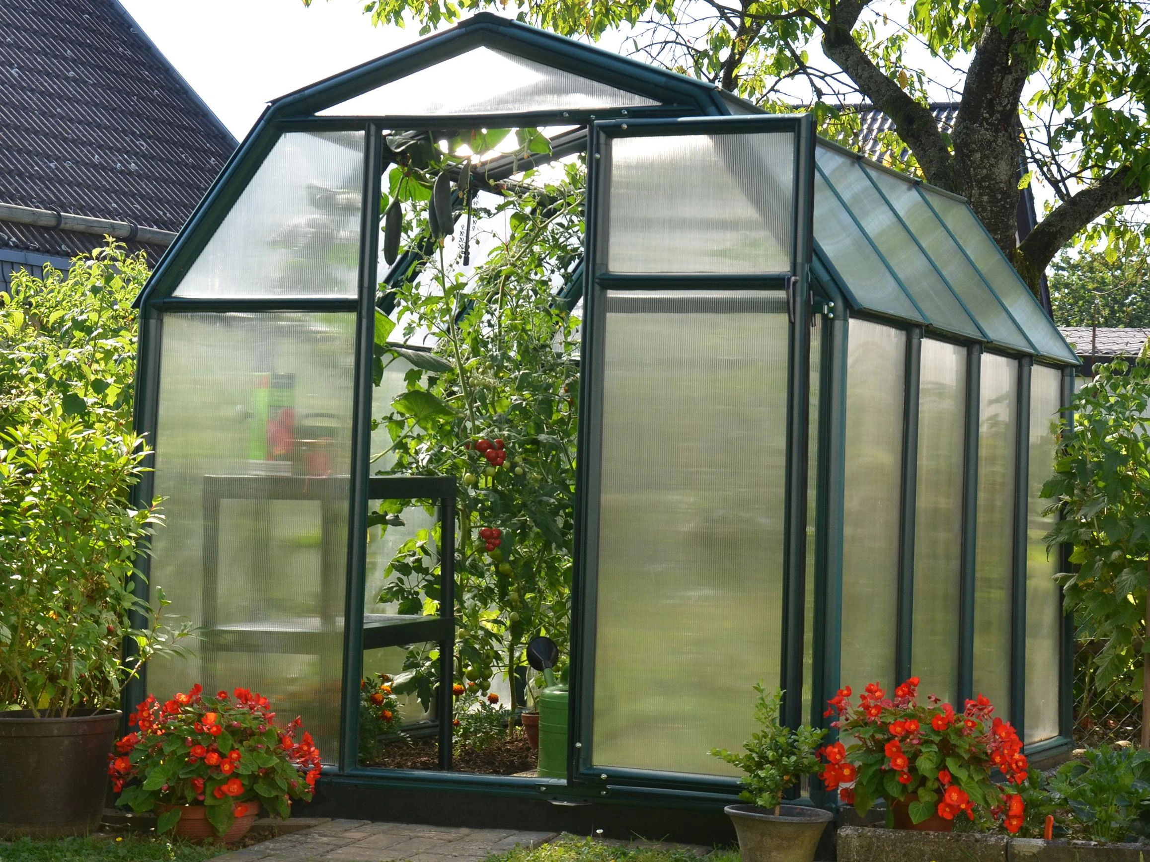 Palram Canopia Tuinkas Eco Grow 198 x 244 cm Groen - Afbeelding 1