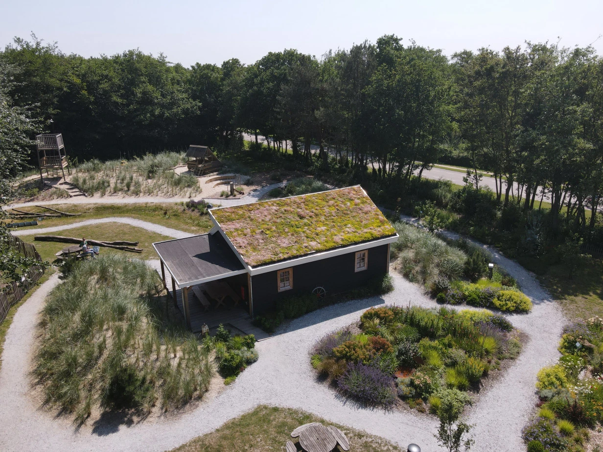 Sempergreen Daktuinsubstraat Extensief Zak 20L - Afbeelding 3