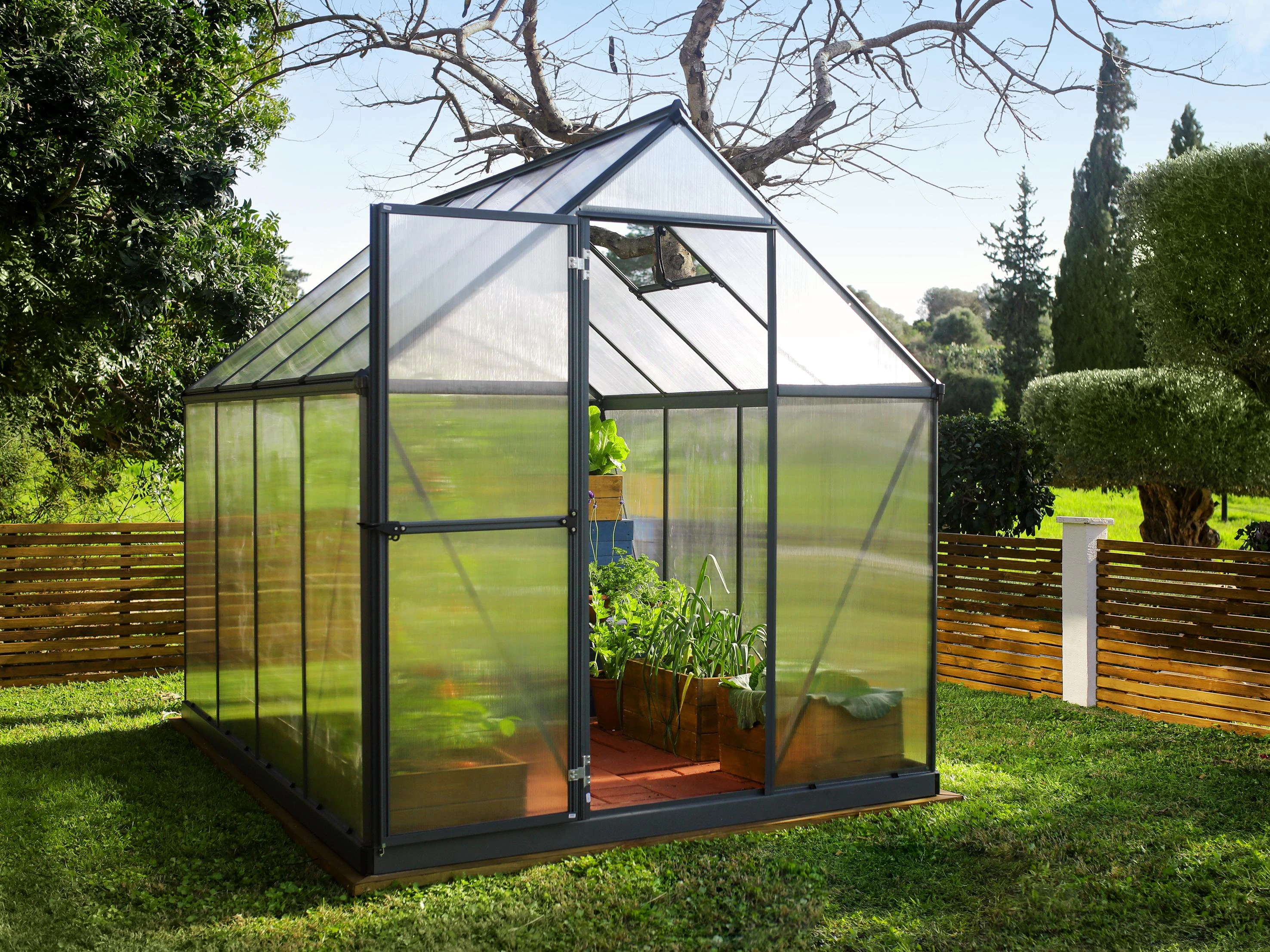 Palram Canopia Tuinkas Mythos 185 x 246 cm Antraciet - Afbeelding 1