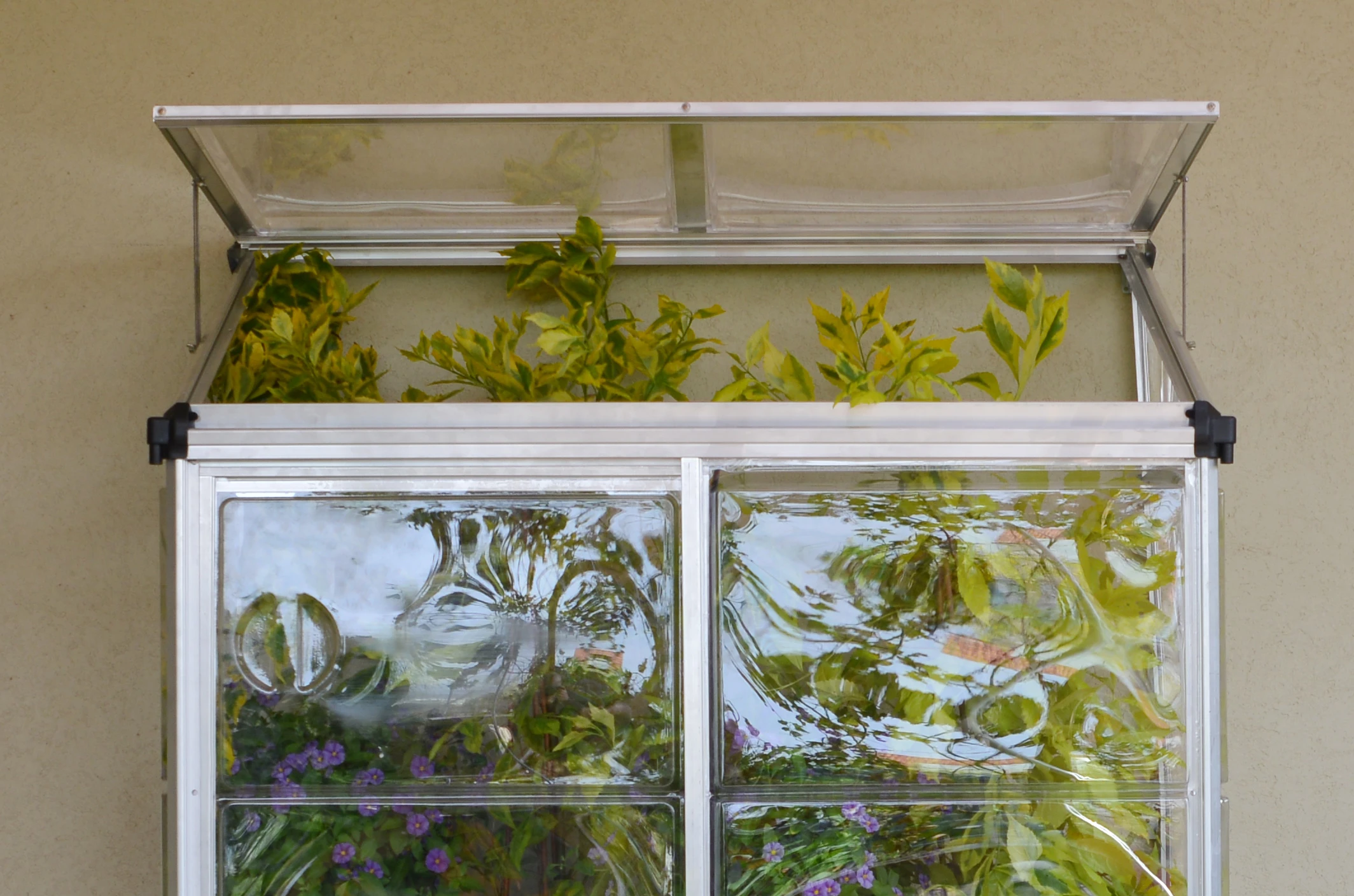 Palram Canopia Muurkas Lean to Grow 62 x 121 cm Zilver - Afbeelding 4