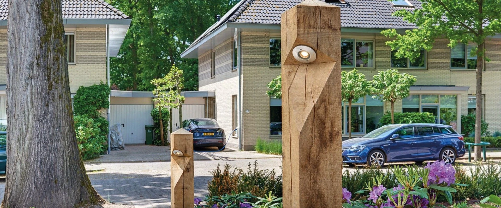 Suslight Sus Big Oak - Afbeelding 4