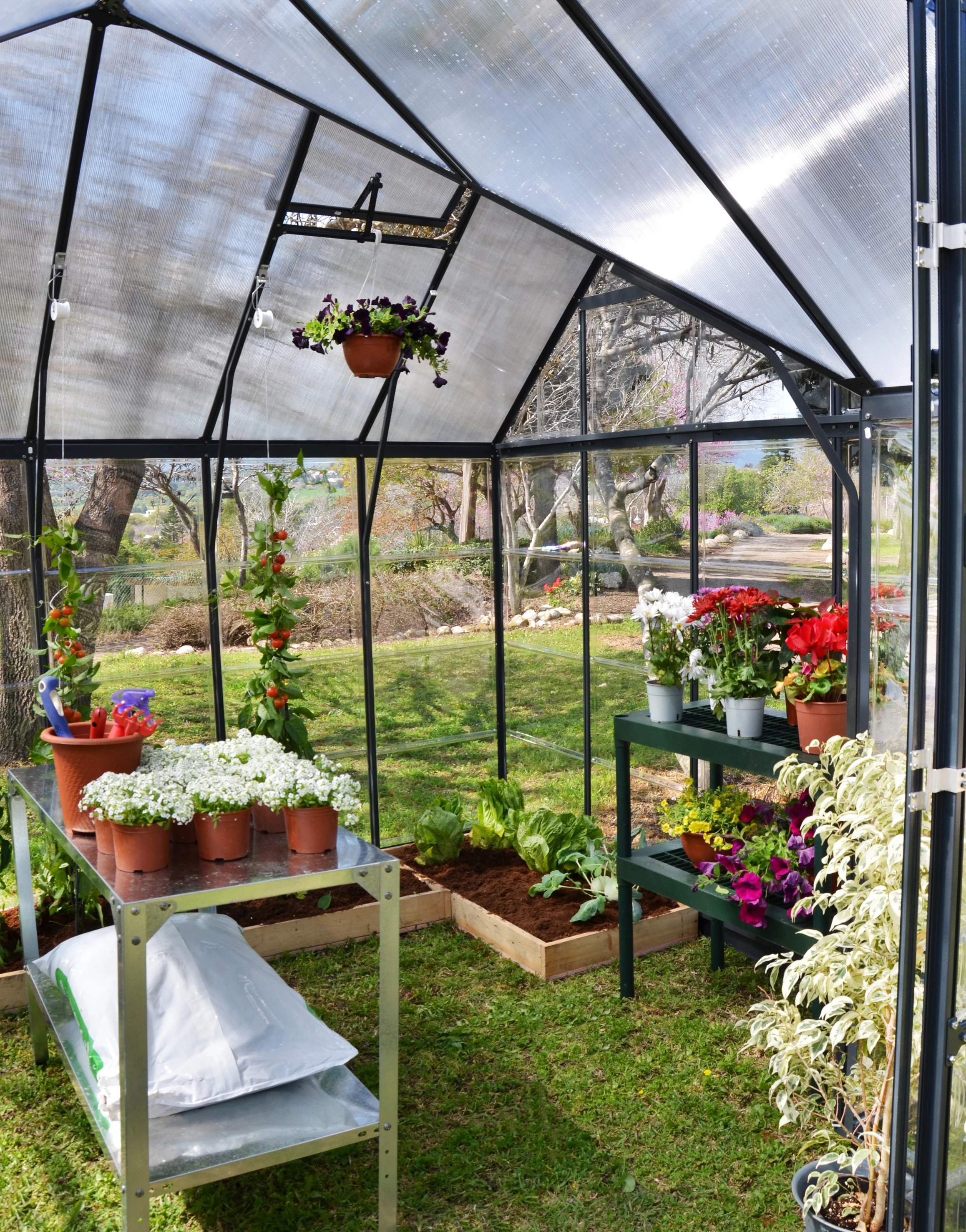 Palram Canopia Tuinkas Victory Antraciet - Afbeelding 11