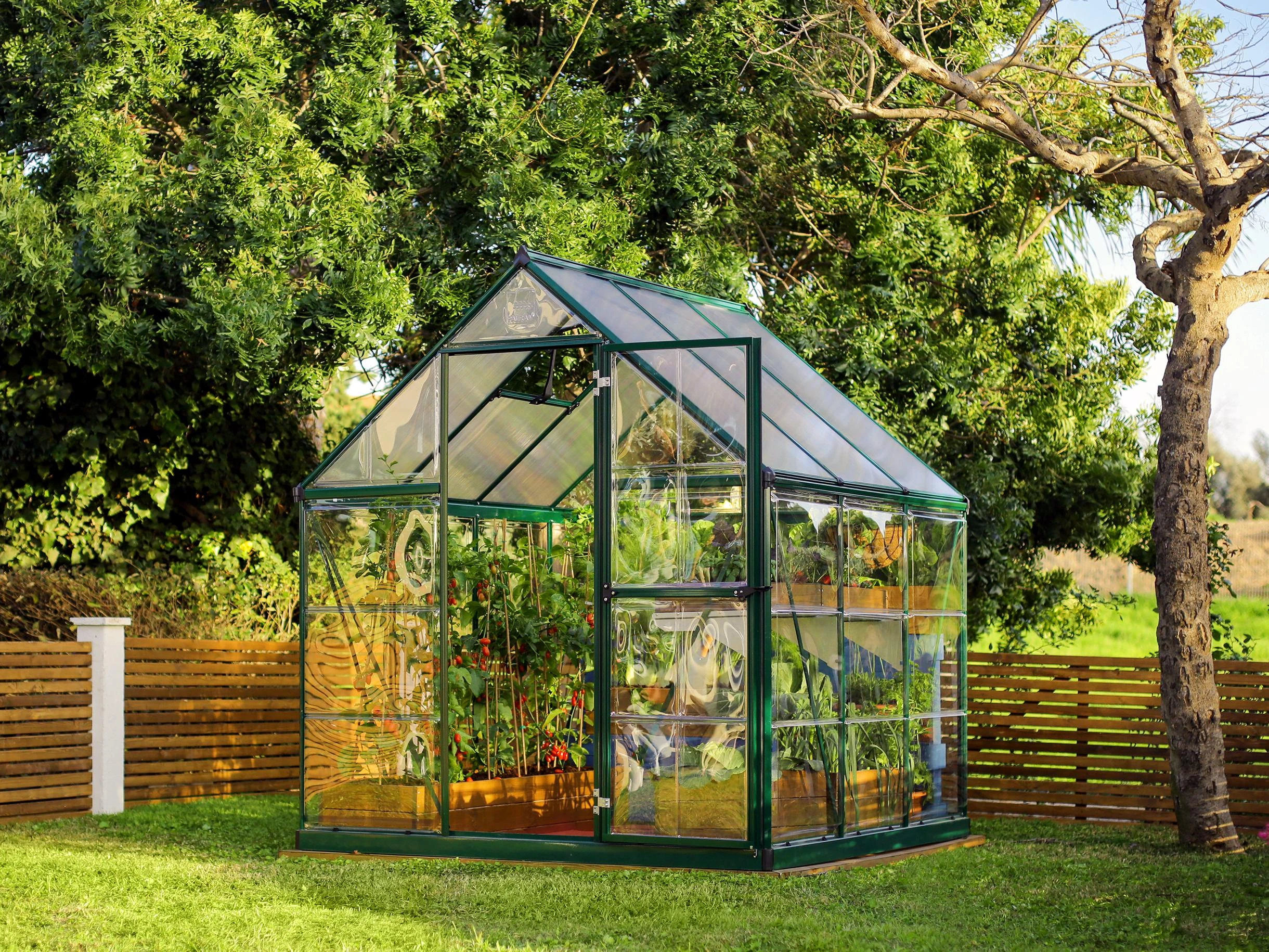 Palram Canopia Tuinkas Hybrid 185 x 185 cm Groen - Afbeelding 1