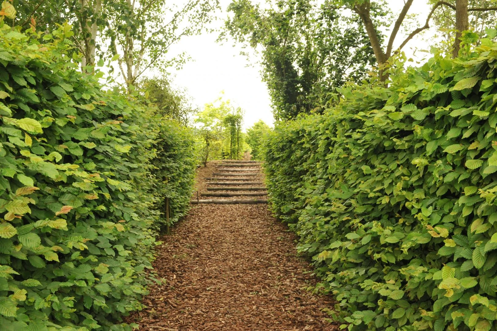 Excluton Franse Boomschors 425 Liter - Afbeelding 2