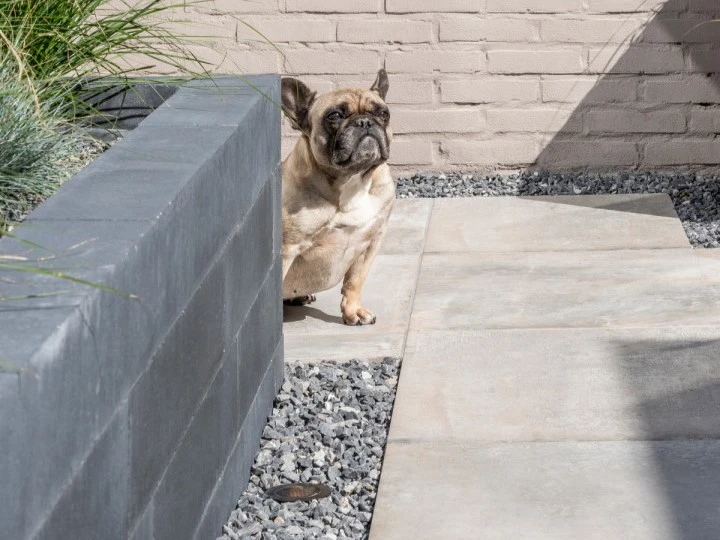 Keramische Tegel Kera Twice Sabbia Creme 60 x 60 x 4.8 cm (600 x 600 x 48 mm) - Afbeelding 3