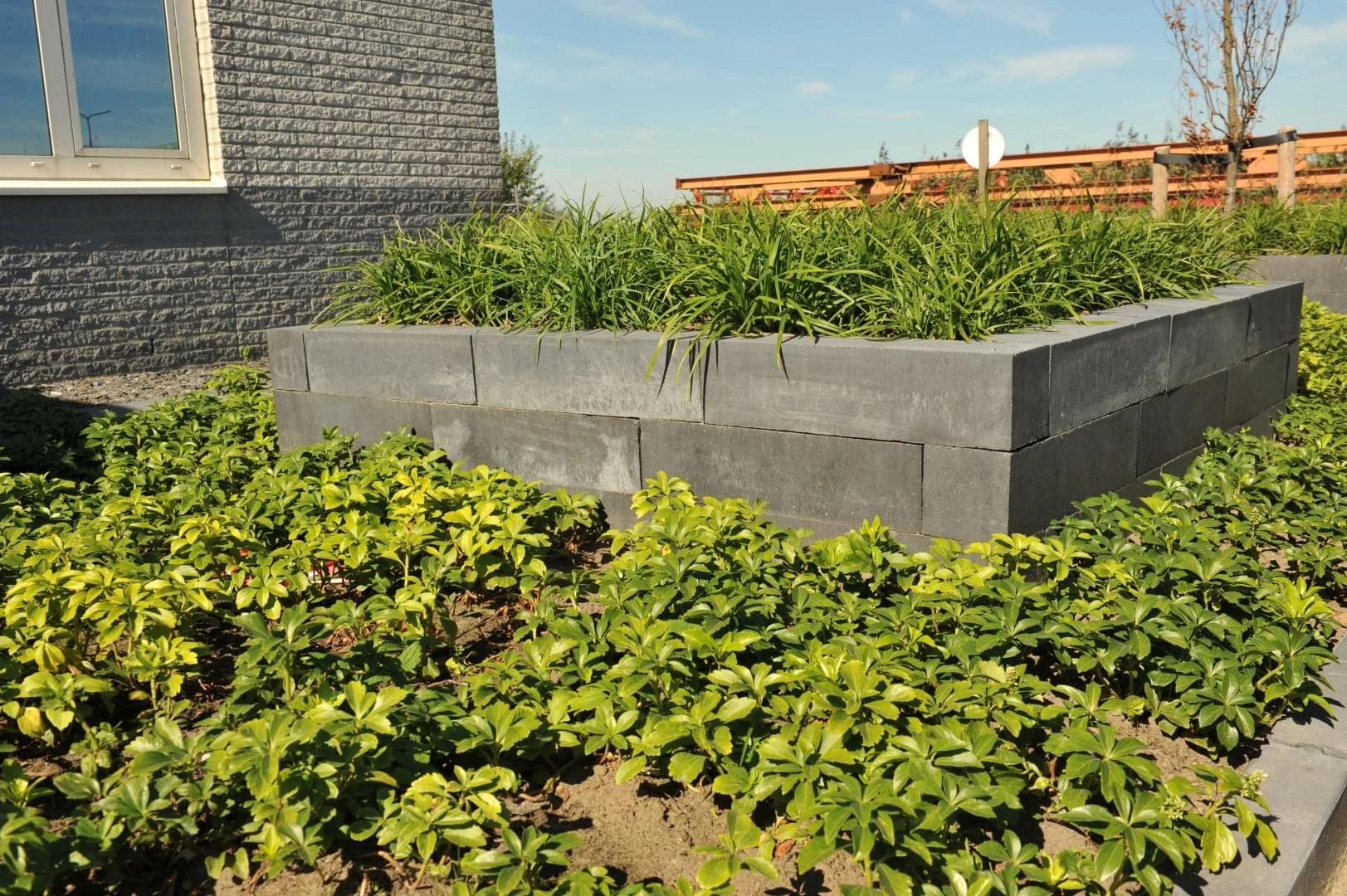 Muurelement Linia Excellence 12 x 12 cm (120 x 120 mm) Nero met Facet - Lengte 60 cm - Afbeelding 2