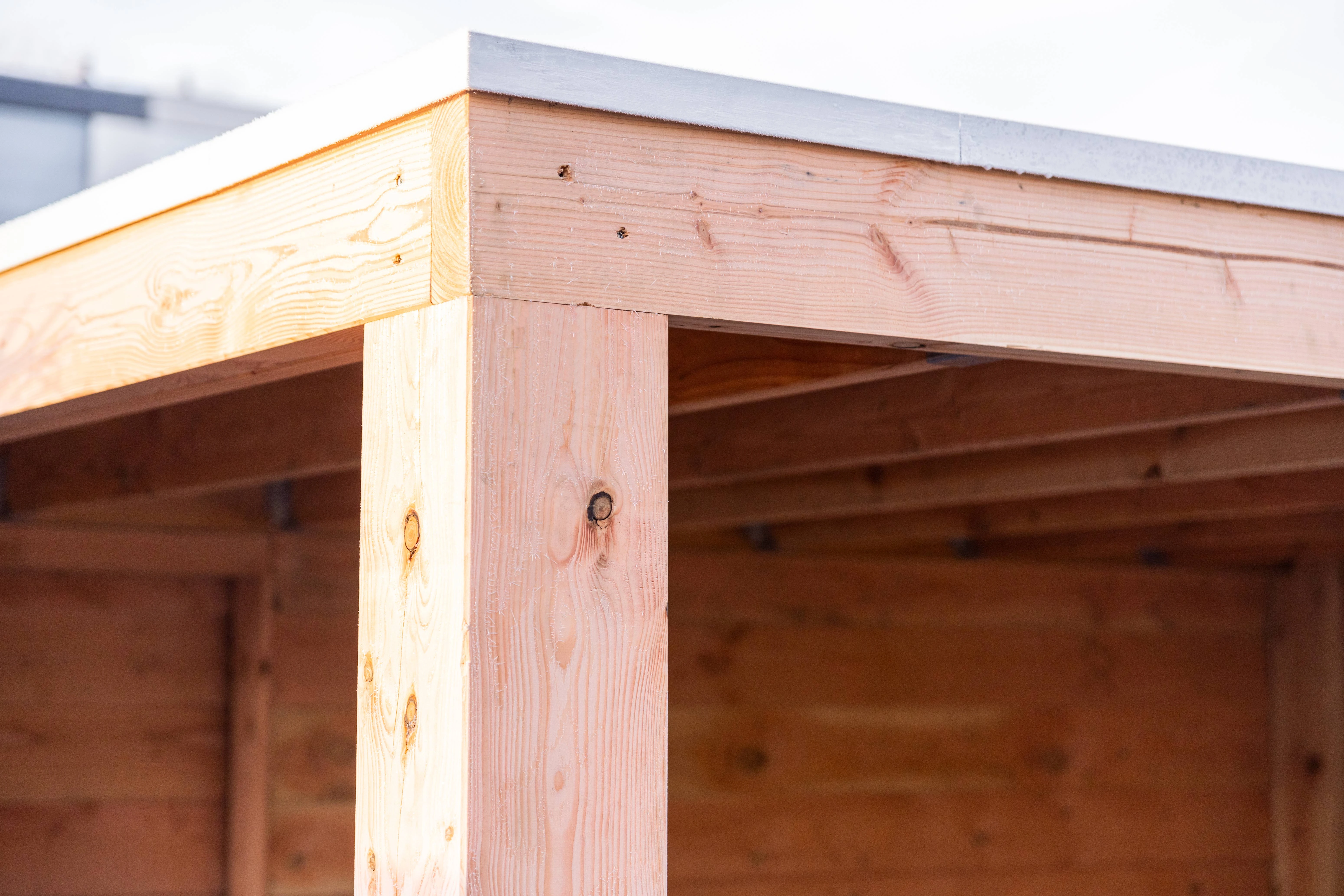 Douglas overkapping, 600 x 300, met achterwand en zijwand, Westwood Modern - Afbeelding 4