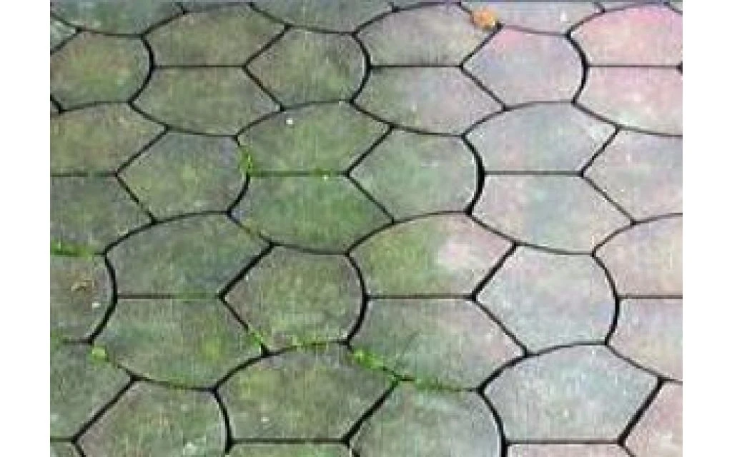 Remmers Algenverwijderaar 5 L - Afbeelding 3