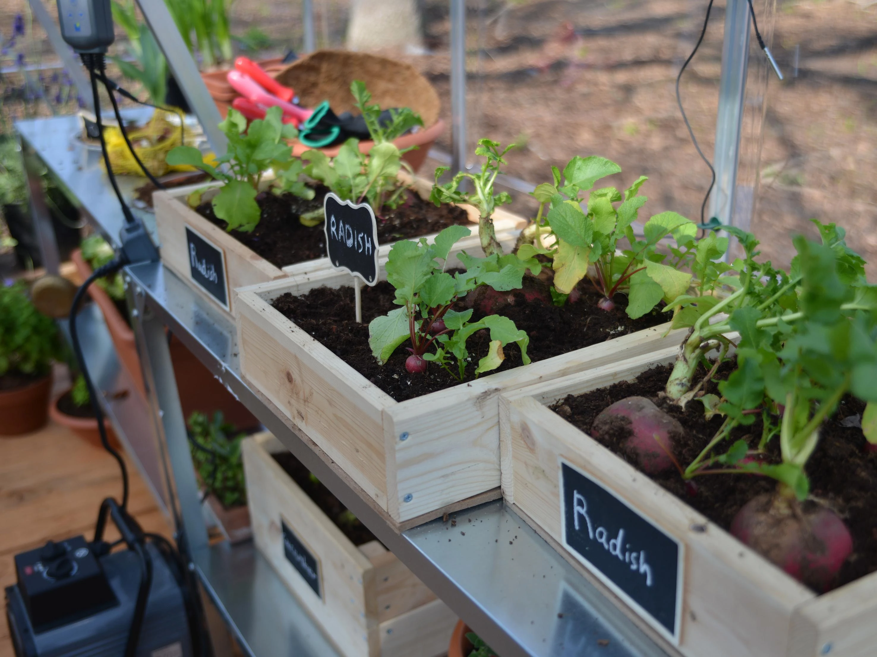 Palram Canopia Tuinkas Hybrid 185 x 424 cm Zilver - Afbeelding 6