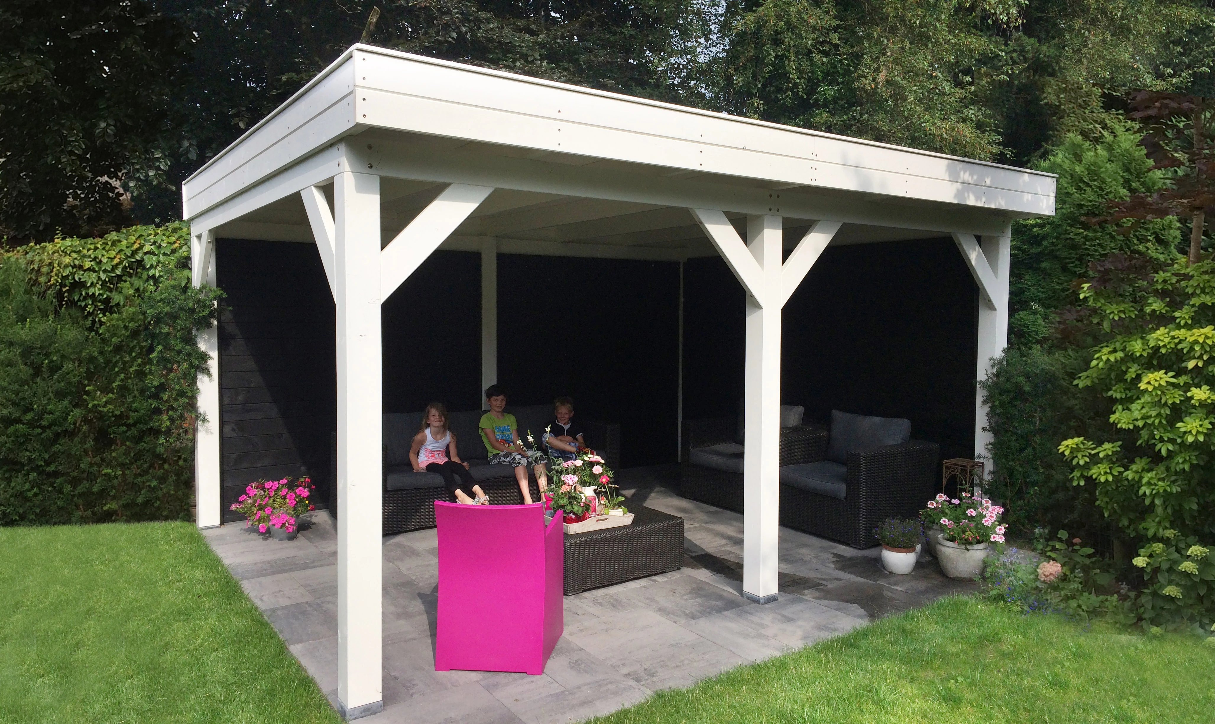 Trendhout Douglas Overkapping Mensa 500 x 400 cm - Afbeelding 3