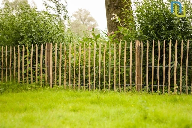 Schapenhek Hazelaar 120 x 500 cm - Afbeelding 4