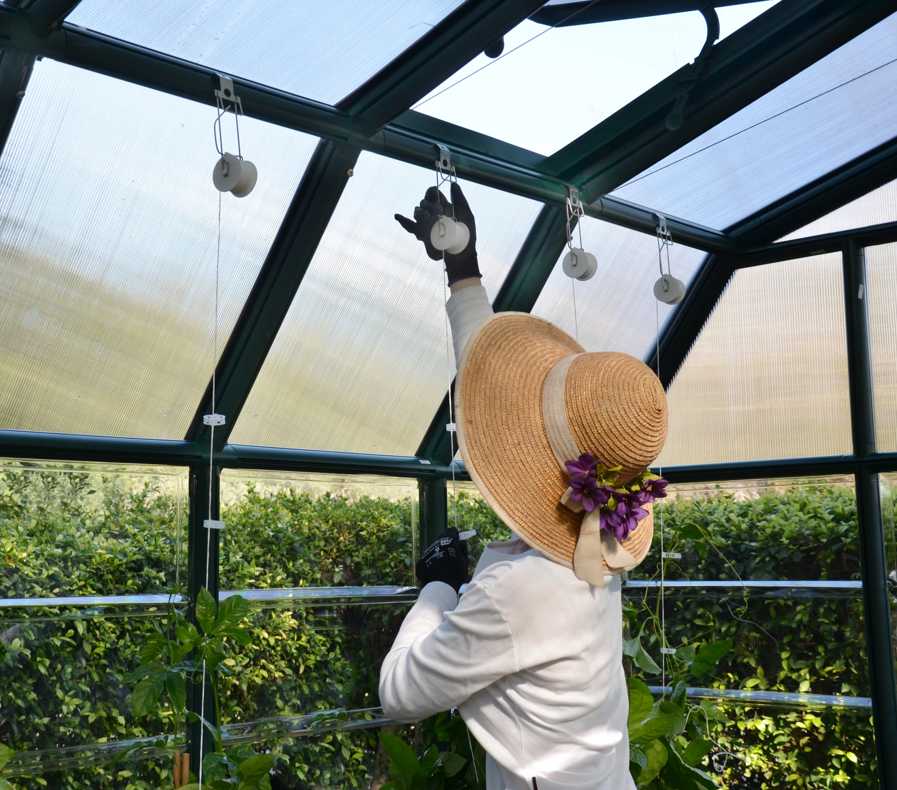 Palram Canopia Trellis set - Afbeelding 6