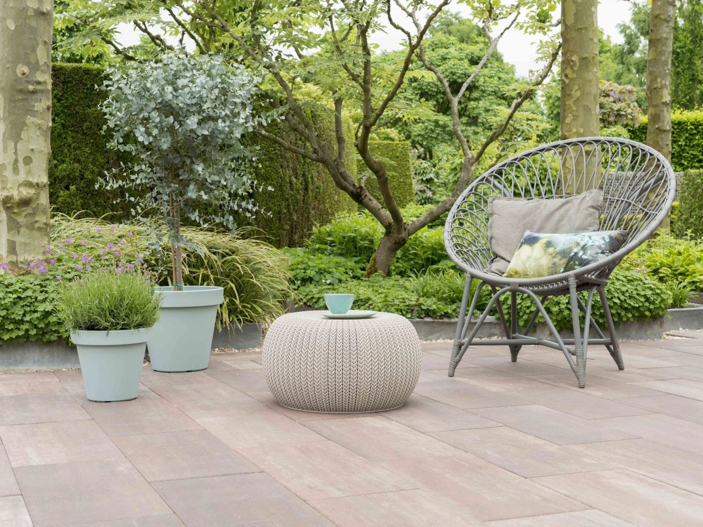 Betontegel 60plus Soft Comfort Violetto 30 x 60 cm (300 x 600 mm) - Dikte 4 cm - Afbeelding 2