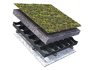 Sempergreen Sedummixmat T 060 - Afbeelding 2